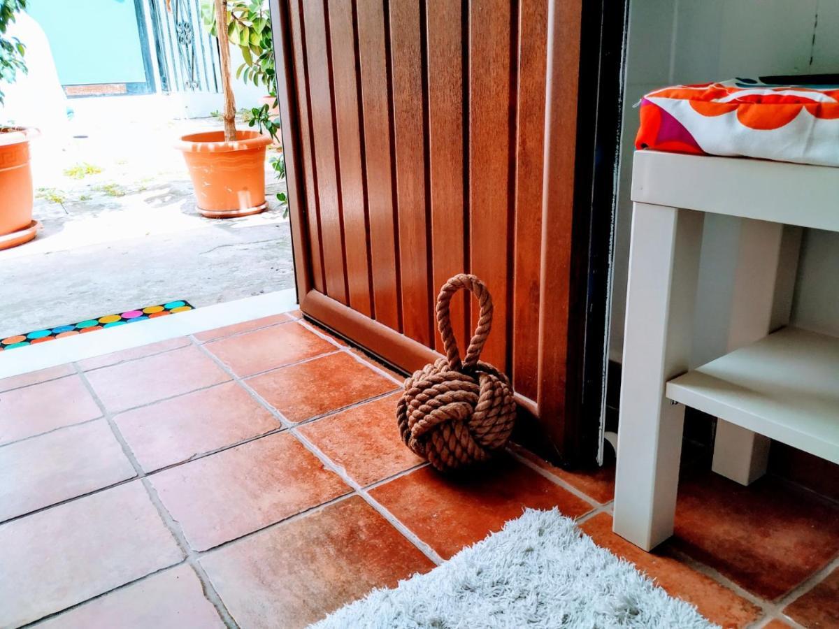 Carola Guesthouse طريفة المظهر الخارجي الصورة